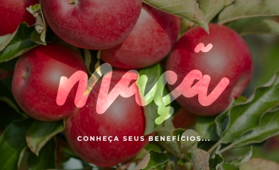  Conheça 10 benefícios da maçã